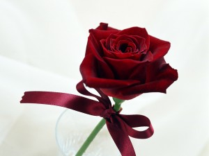 A present for all people