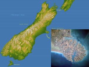 new-zealand new-zealand
