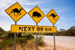 Australian-sign-camels-wombats-kangaroos