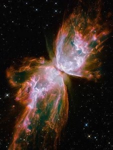 Butterfly shaped Galaxy