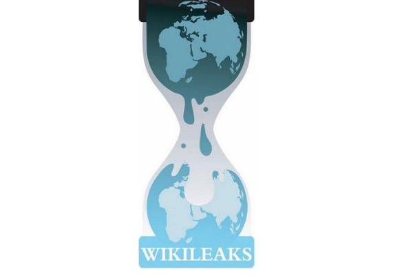 WikiLeaks website DDoSed