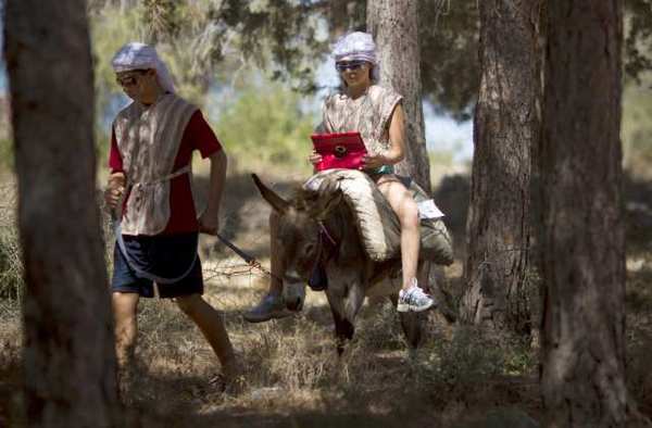 Donkeys become Wi-Fi hot spots in historic Israeli park