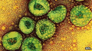 New 'Sars-like' coronavirus identified by UK officials