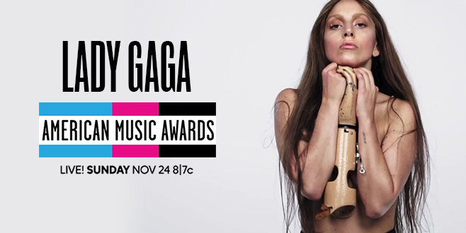 American Music Awards 2013 Winners List!