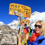 ruppee_dog_climbs_everest