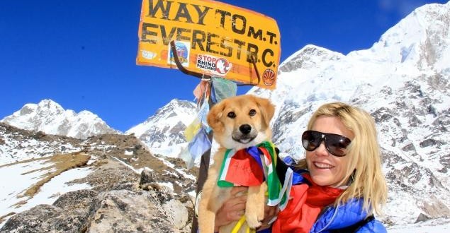 Rescued Stray Dog Climbs Mount Everest!