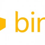 bing-2013