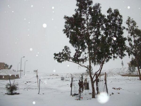 Snow fall in Cairo, Egypt for the first time in more than 100 years.