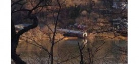 Train Derails in New York, 4 Killed!