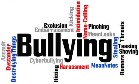 Chronic bullying more dangerous to kids’ health