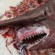 Man caughts Goblin Shark in Gulf of Mexico and later released it!