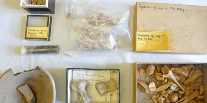 4500 Years Old Artifacts Found in Britain Cupboard