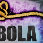 Ebola-Virus